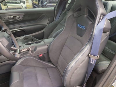 2025 Ford Mustang Dark Horse Fastback