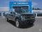 2020 Ford F-250 Platinum