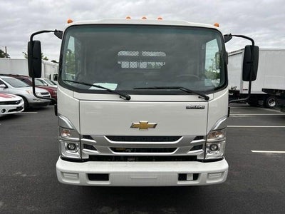 2024 Chevrolet Low Cab Forward 3500 Base