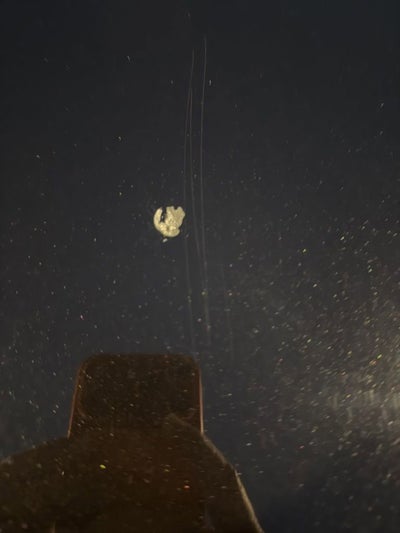 2022 Land Rover Range Rover Evoque SE